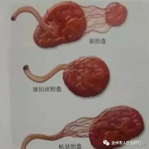 360截图20230811144039298.jpg